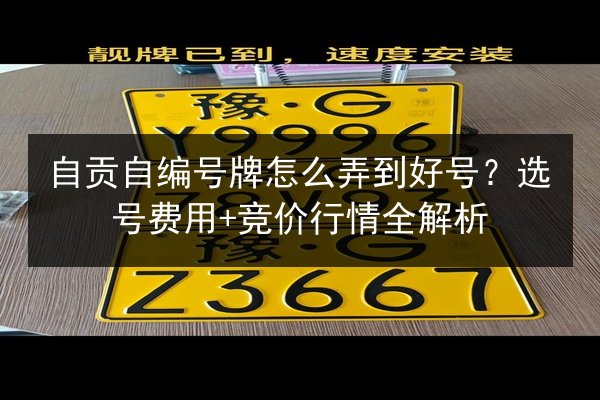 自贡自编号牌怎么弄到好号？选号费用+竞价行情全解析 第2张