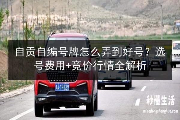 自贡自编号牌怎么弄到好号？选号费用+竞价行情全解析 第3张
