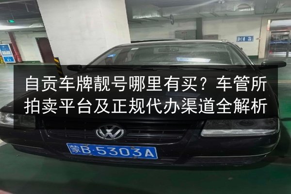 自贡车牌靓号哪里有买?车管所拍卖平台及正规代办渠道全解析 第3张 自贡车牌靓号哪里有买?车管所拍卖平台及正规代办渠道全解析 第3张