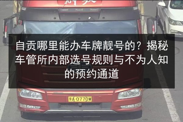 自贡哪里能办车牌靓号的?揭秘车管所内部选号规则与不为人知的预约通道 第3张 自贡哪里能办车牌靓号的?揭秘车管所内部选号规则与不为人知的预约通道 第3张