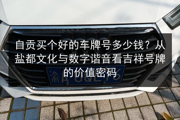 自贡买个好的车牌号多少钱?从盐都文化与数字谐音看吉祥号牌的价值密码 第3张 自贡买个好的车牌号多少钱?从盐都文化与数字谐音看吉祥号牌的价值密码 第3张
