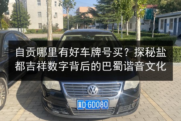 自贡哪里有好车牌号买？探秘盐都吉祥数字背后的巴蜀谐音文化 第2张