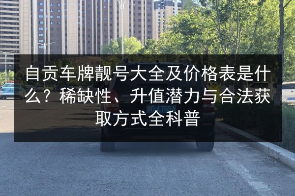 自贡车牌靓号大全及价格表是什么？稀缺性、升值潜力与合法获取方式全科普