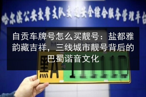 自贡车牌号怎么买靓号:盐都雅韵藏吉祥,三线城市靓号背后的巴蜀谐音文化 第2张 自贡车牌号怎么买靓号:盐都雅韵藏吉祥,三线城市靓号背后的巴蜀谐音文化 第2张