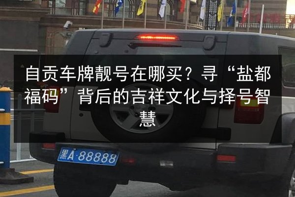 自贡车牌靓号在哪买?寻“盐都福码”背后的吉祥文化与择号智慧 第2张 自贡车牌靓号在哪买?寻“盐都福码”背后的吉祥文化与择号智慧 第2张
