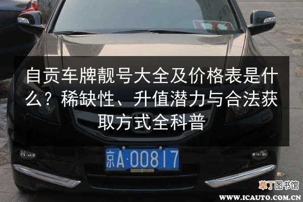 自贡车牌靓号大全及价格表是什么？稀缺性、升值潜力与合法获取方式全科普 第2张