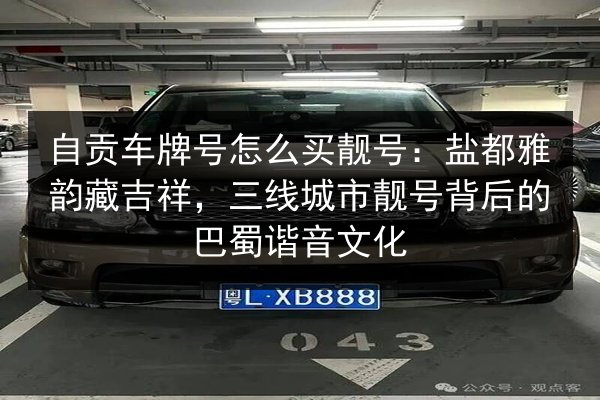 自贡车牌号怎么买靓号:盐都雅韵藏吉祥,三线城市靓号背后的巴蜀谐音文化 第3张 自贡车牌号怎么买靓号:盐都雅韵藏吉祥,三线城市靓号背后的巴蜀谐音文化 第3张