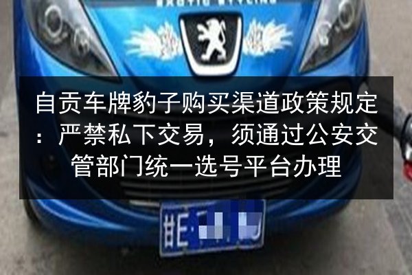 自贡车牌豹子购买渠道政策规定:严禁私下交易,须通过公安交管部门统一选号平台办理 第2张 自贡车牌豹子购买渠道政策规定:严禁私下交易,须通过公安交管部门统一选号平台办理 第2张