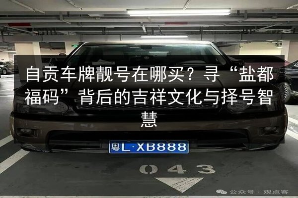 自贡车牌靓号在哪买?寻“盐都福码”背后的吉祥文化与择号智慧 第3张 自贡车牌靓号在哪买?寻“盐都福码”背后的吉祥文化与择号智慧 第3张