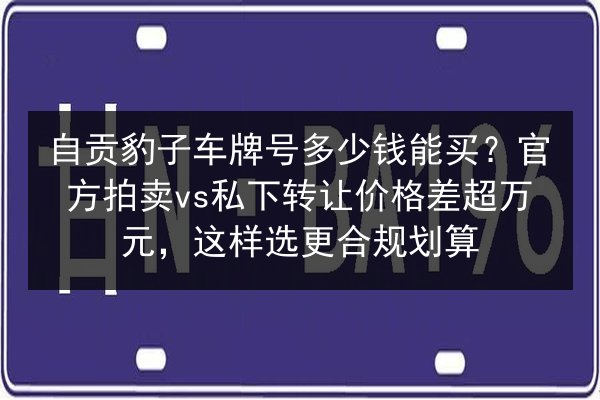 自贡豹子车牌号多少钱能买?官方拍卖vs私下转让价格差超万元,这样选更合规划算 第2张 自贡豹子车牌号多少钱能买?官方拍卖vs私下转让价格差超万元,这样选更合规划算 第2张