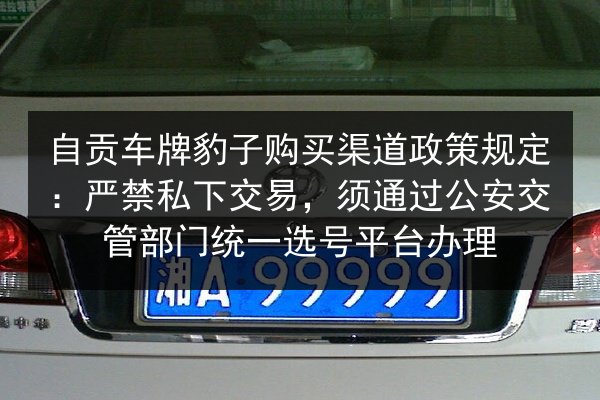 自贡车牌豹子购买渠道政策规定:严禁私下交易,须通过公安交管部门统一选号平台办理 第3张 自贡车牌豹子购买渠道政策规定:严禁私下交易,须通过公安交管部门统一选号平台办理 第3张