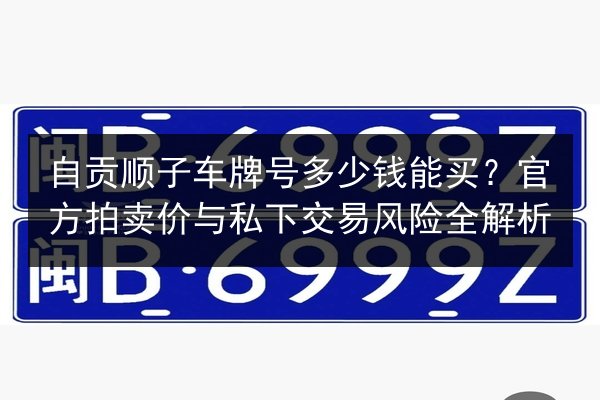自贡顺子车牌号多少钱能买？官方拍卖价与私下交易风险全解析