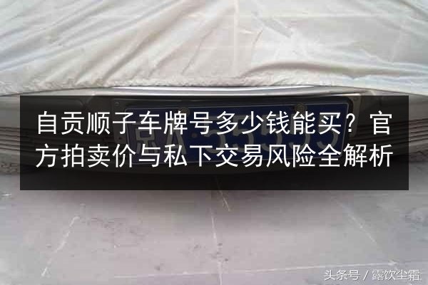 自贡顺子车牌号多少钱能买？官方拍卖价与私下交易风险全解析 第2张