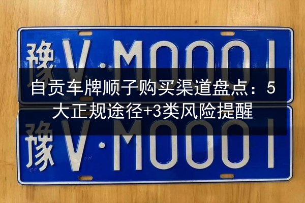 自贡车牌顺子购买渠道盘点:5大正规途径+3类风险提醒 第2张 自贡车牌顺子购买渠道盘点:5大正规途径+3类风险提醒 第2张