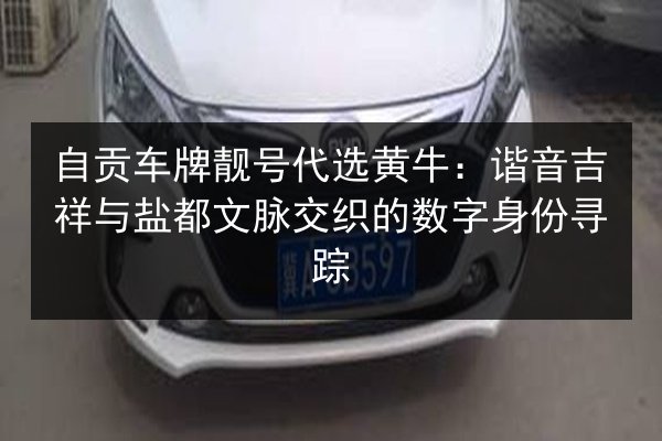 自贡车牌靓号代选黄牛：谐音吉祥与盐都文脉交织的数字身份寻踪 第2张