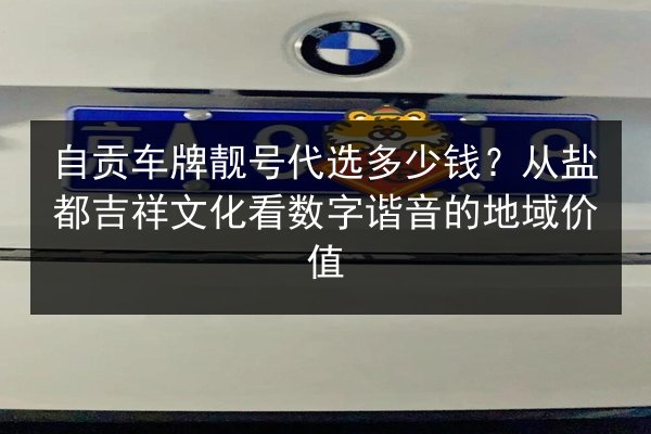 自贡车牌靓号代选多少钱？从盐都吉祥文化看数字谐音的地域价值 第2张