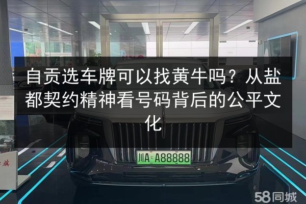 自贡选车牌可以找黄牛吗？从盐都契约精神看号码背后的公平文化 第2张