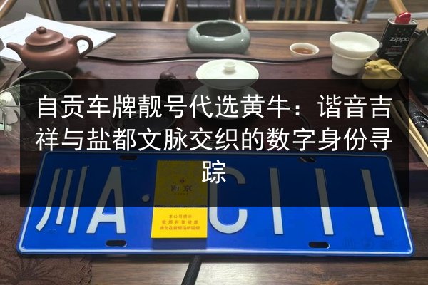 自贡车牌靓号代选黄牛：谐音吉祥与盐都文脉交织的数字身份寻踪 第3张
