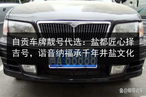 自贡车牌靓号代选:盐都匠心择吉号,谐音纳福承千年井盐文化 第2张 自贡车牌靓号代选:盐都匠心择吉号,谐音纳福承千年井盐文化 第2张