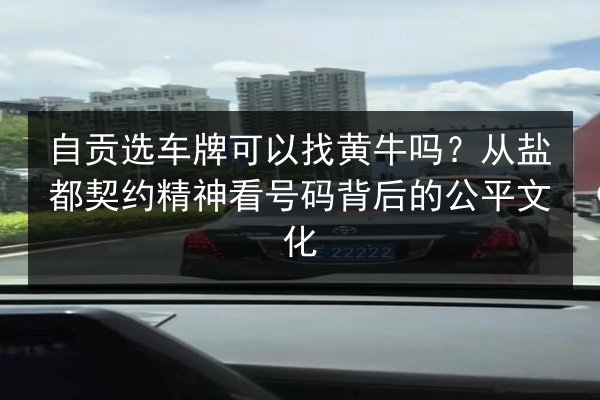 自贡选车牌可以找黄牛吗？从盐都契约精神看号码背后的公平文化 第3张