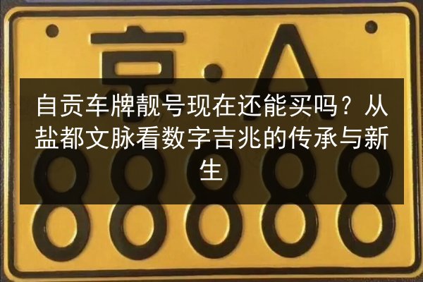 自贡车牌靓号现在还能买吗?从盐都文脉看数字吉兆的传承与新生 第2张 自贡车牌靓号现在还能买吗?从盐都文脉看数字吉兆的传承与新生 第2张