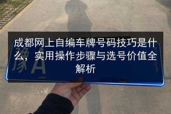 成都网上自编车牌号码技巧是什么，实用操作步骤与选号价值全解析 第2张