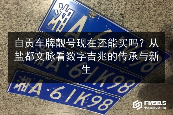 自贡车牌靓号现在还能买吗?从盐都文脉看数字吉兆的传承与新生 第3张 自贡车牌靓号现在还能买吗?从盐都文脉看数字吉兆的传承与新生 第3张