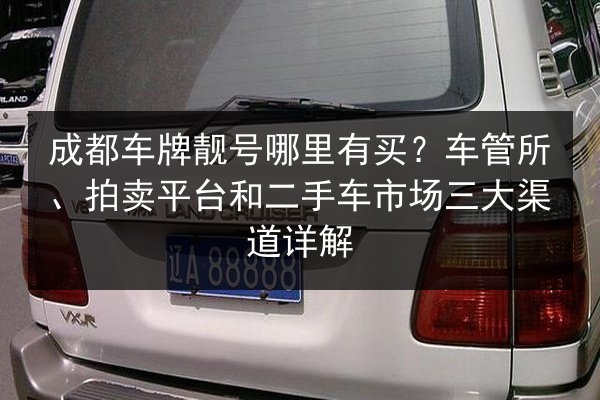 成都车牌靓号哪里有买？车管所、拍卖平台和二手车市场三大渠道详解