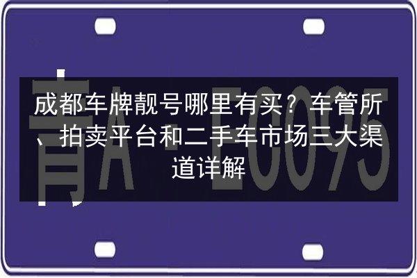 成都车牌靓号哪里有买?车管所、拍卖平台和二手车市场三大渠道详解 第2张 成都车牌靓号哪里有买?车管所、拍卖平台和二手车市场三大渠道详解 第2张