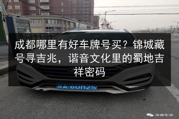 成都哪里有好车牌号买？锦城藏号寻吉兆，谐音文化里的蜀地吉祥密码 第2张