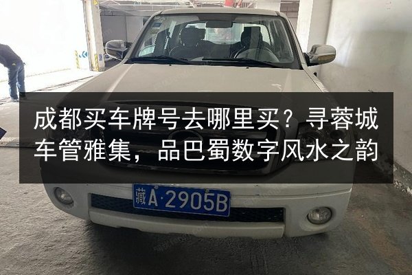 成都买车牌号去哪里买？寻蓉城车管雅集，品巴蜀数字风水之韵 第2张