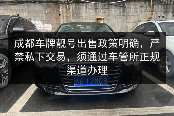 成都车牌靓号出售政策明确，严禁私下交易，须通过车管所正规渠道办理 第3张