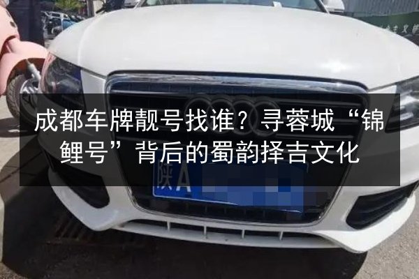 成都车牌靓号找谁?寻蓉城“锦鲤号”背后的蜀韵择吉文化 第2张 成都车牌靓号找谁?寻蓉城“锦鲤号”背后的蜀韵择吉文化 第2张