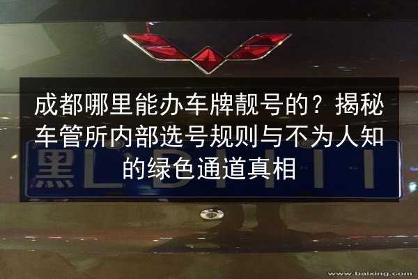 成都哪里能办车牌靓号的？揭秘车管所内部选号规则与不为人知的绿色通道真相 第2张