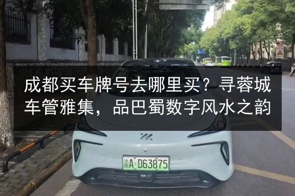 成都买车牌号去哪里买？寻蓉城车管雅集，品巴蜀数字风水之韵 第3张