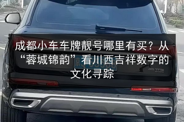 成都小车车牌靓号哪里有买?从“蓉城锦韵”看川西吉祥数字的文化寻踪 第4张 成都小车车牌靓号哪里有买?从“蓉城锦韵”看川西吉祥数字的文化寻踪 第4张