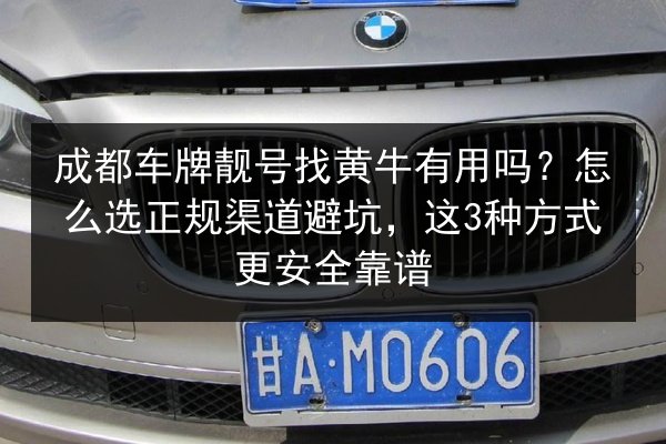 成都车牌靓号找黄牛有用吗？怎么选正规渠道避坑，这3种方式更安全靠谱 第3张
