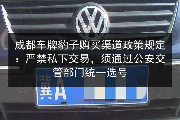 成都车牌豹子购买渠道政策规定:严禁私下交易,须通过公安交管部门统一选号 第1张 成都车牌豹子购买渠道政策规定:严禁私下交易,须通过公安交管部门统一选号 第1张