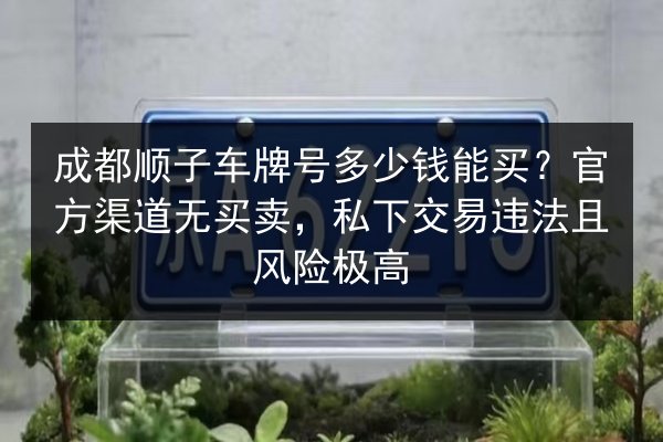 成都顺子车牌号多少钱能买?官方渠道无买卖,私下交易违法且风险极高 第3张 成都顺子车牌号多少钱能买?官方渠道无买卖,私下交易违法且风险极高 第3张