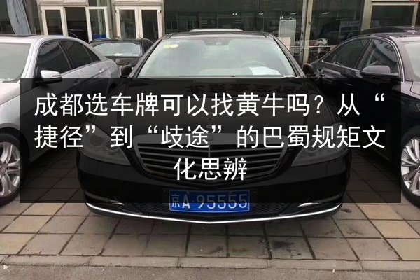 成都选车牌可以找黄牛吗？从“捷径”到“歧途”的巴蜀规矩文化思辨 第2张