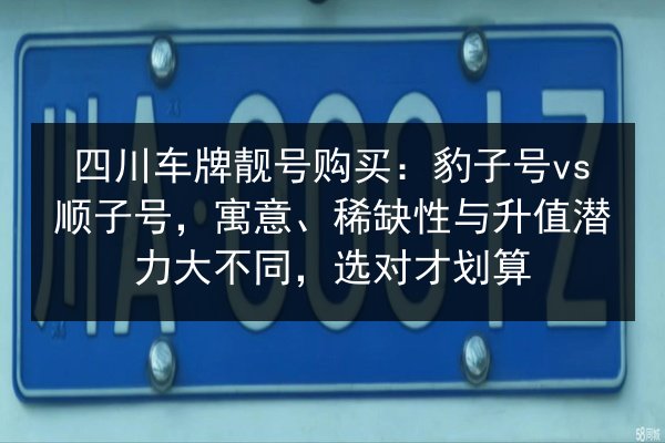 四川车牌靓号购买：豹子号vs顺子号，寓意、稀缺性与升值潜力大不同，选对才划算