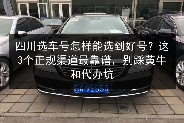 四川选车号怎样能选到好号？这3个正规渠道最靠谱，别踩黄牛和代办坑 第2张