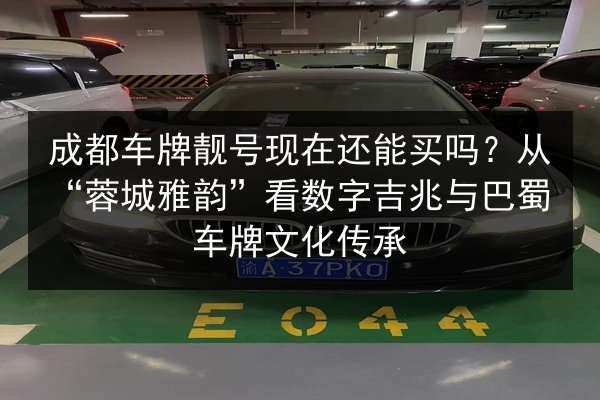 成都车牌靓号现在还能买吗？从“蓉城雅韵”看数字吉兆与巴蜀车牌文化传承 第2张