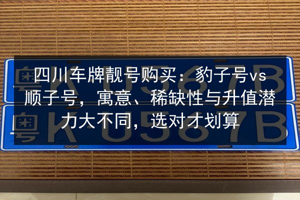 四川车牌靓号购买：豹子号vs顺子号，寓意、稀缺性与升值潜力大不同，选对才划算 第2张