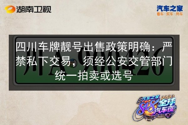 四川车牌靓号出售政策明确：严禁私下交易，须经公安交管部门统一拍卖或选号 第2张