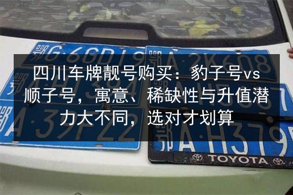 四川车牌靓号购买：豹子号vs顺子号，寓意、稀缺性与升值潜力大不同，选对才划算 第3张