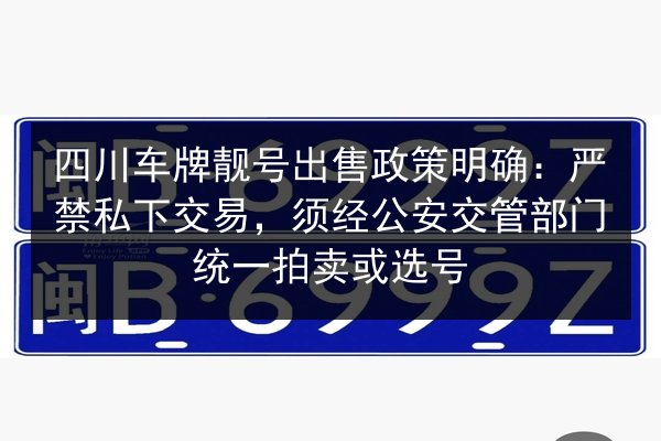 四川车牌靓号出售政策明确：严禁私下交易，须经公安交管部门统一拍卖或选号 第3张