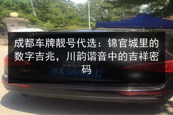 成都车牌靓号代选：锦官城里的数字吉兆，川韵谐音中的吉祥密码 第3张