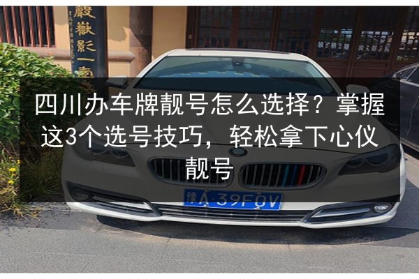 四川办车牌靓号怎么选择?掌握这3个选号技巧,轻松拿下心仪靓号 第3张 四川办车牌靓号怎么选择?掌握这3个选号技巧,轻松拿下心仪靓号 第3张