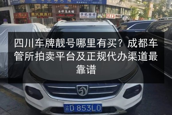 四川车牌靓号哪里有买？成都车管所拍卖平台及正规代办渠道最靠谱